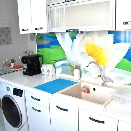 Apartament Alex Botique *