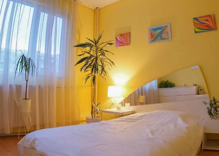 Alex Botique Daire Varna